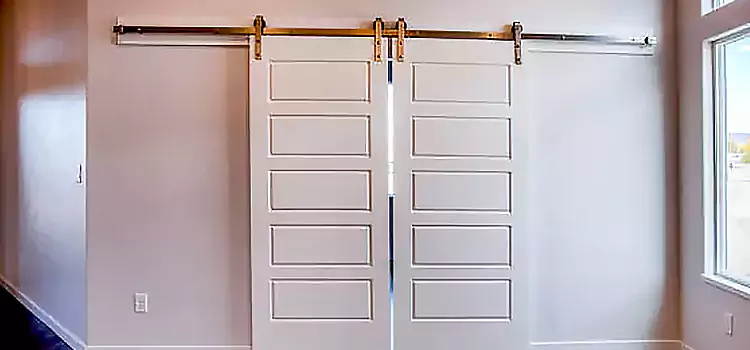 Glass Barn Door with Installation Hardware Kit Sierra Vista