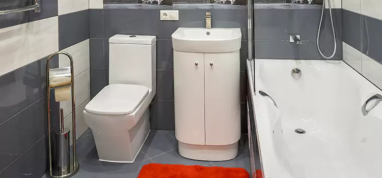 Hansgrohe Shaving Mirror Sierra Vista
